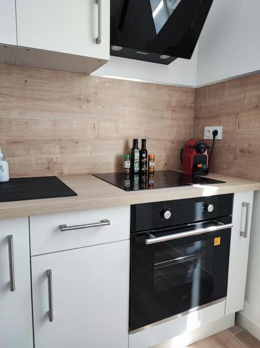 Appartamento Pause Entre Cite Et Bastide *Clim *Wifi *Smart Tv Carcassonne Esterno foto